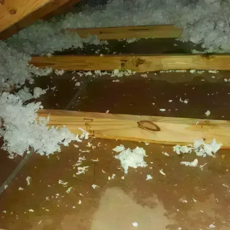 Attic Water Damage in Jasper, TN