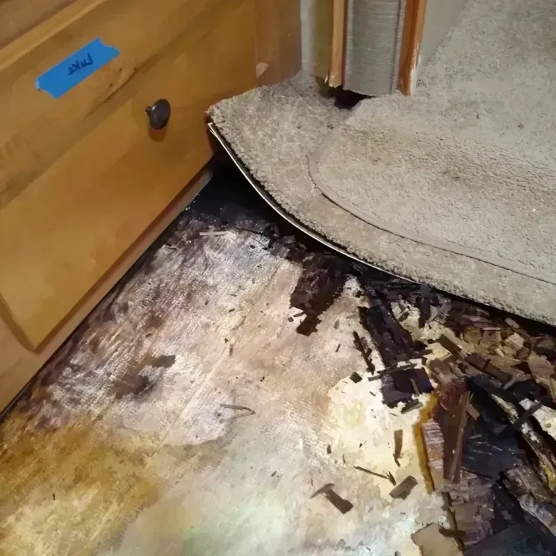 Wood Floor Water Damage in Jasper, TN